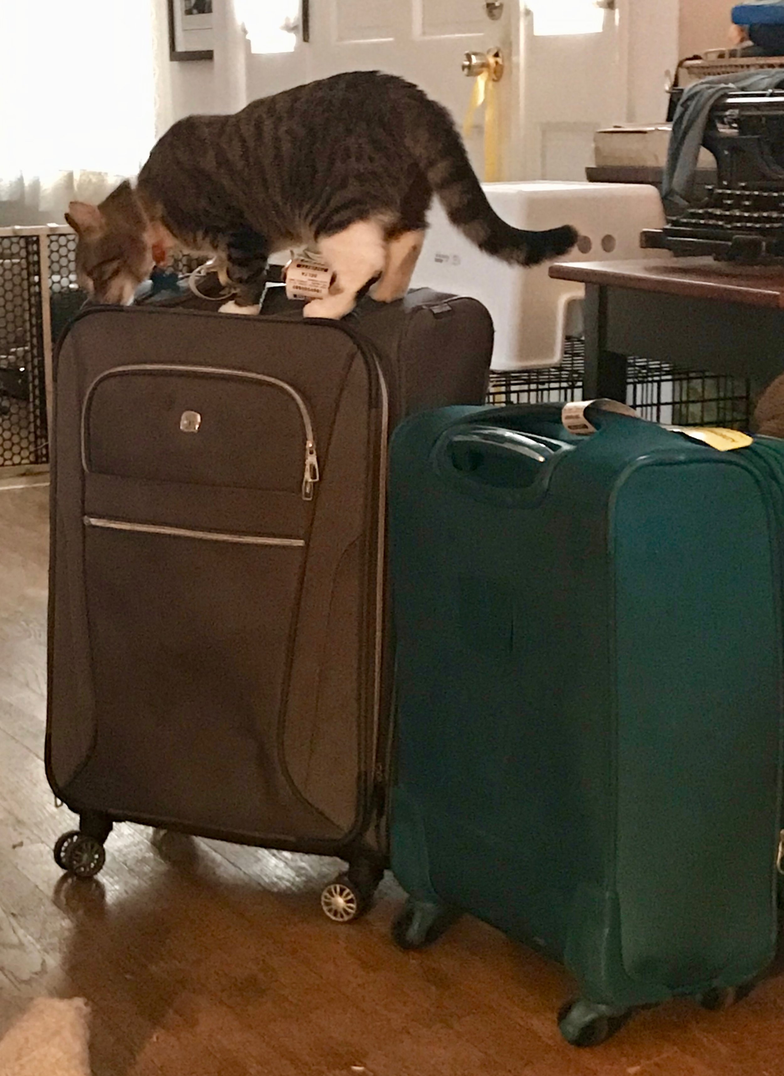 Where have you been?