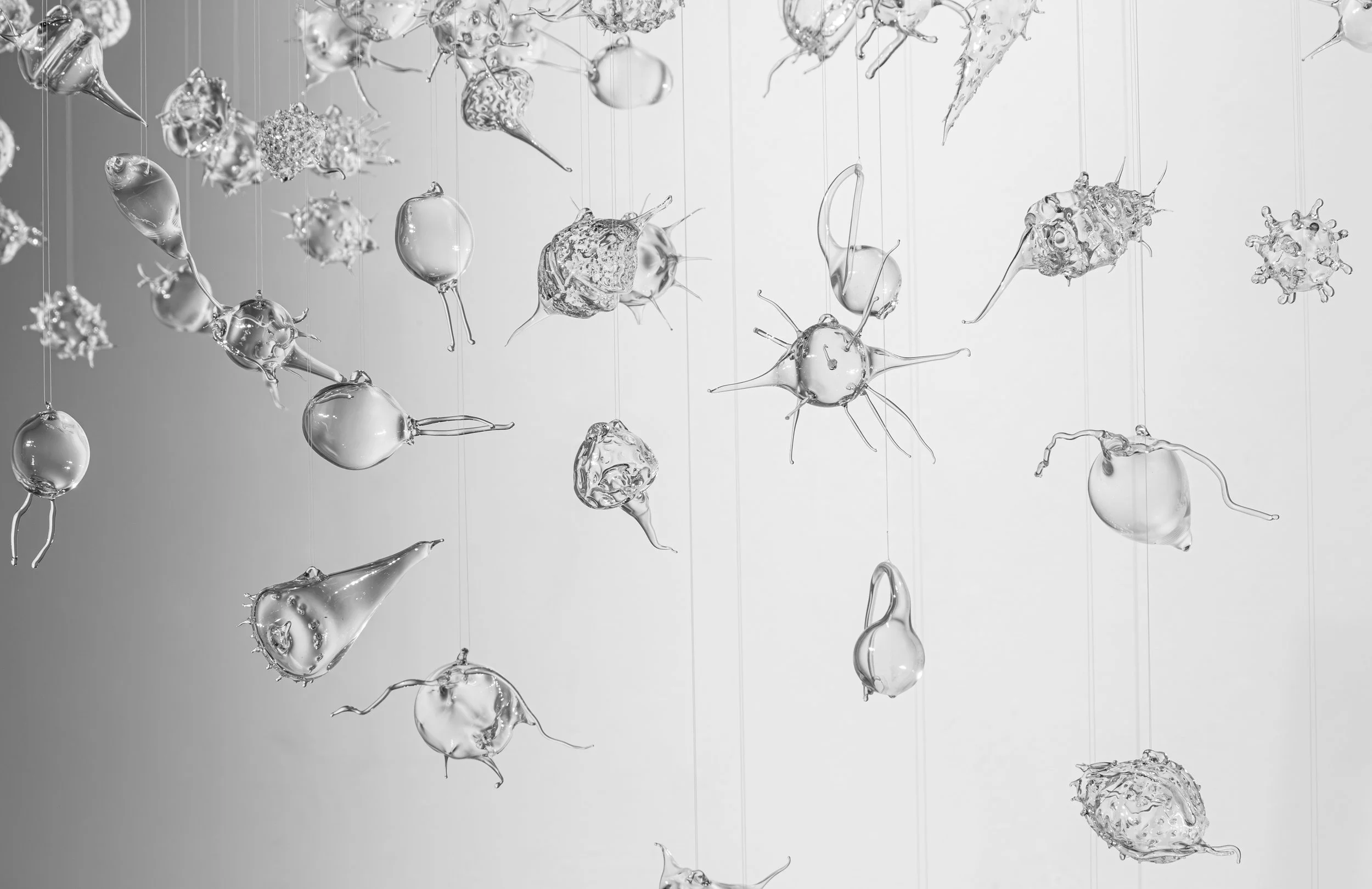 Microcosm detail