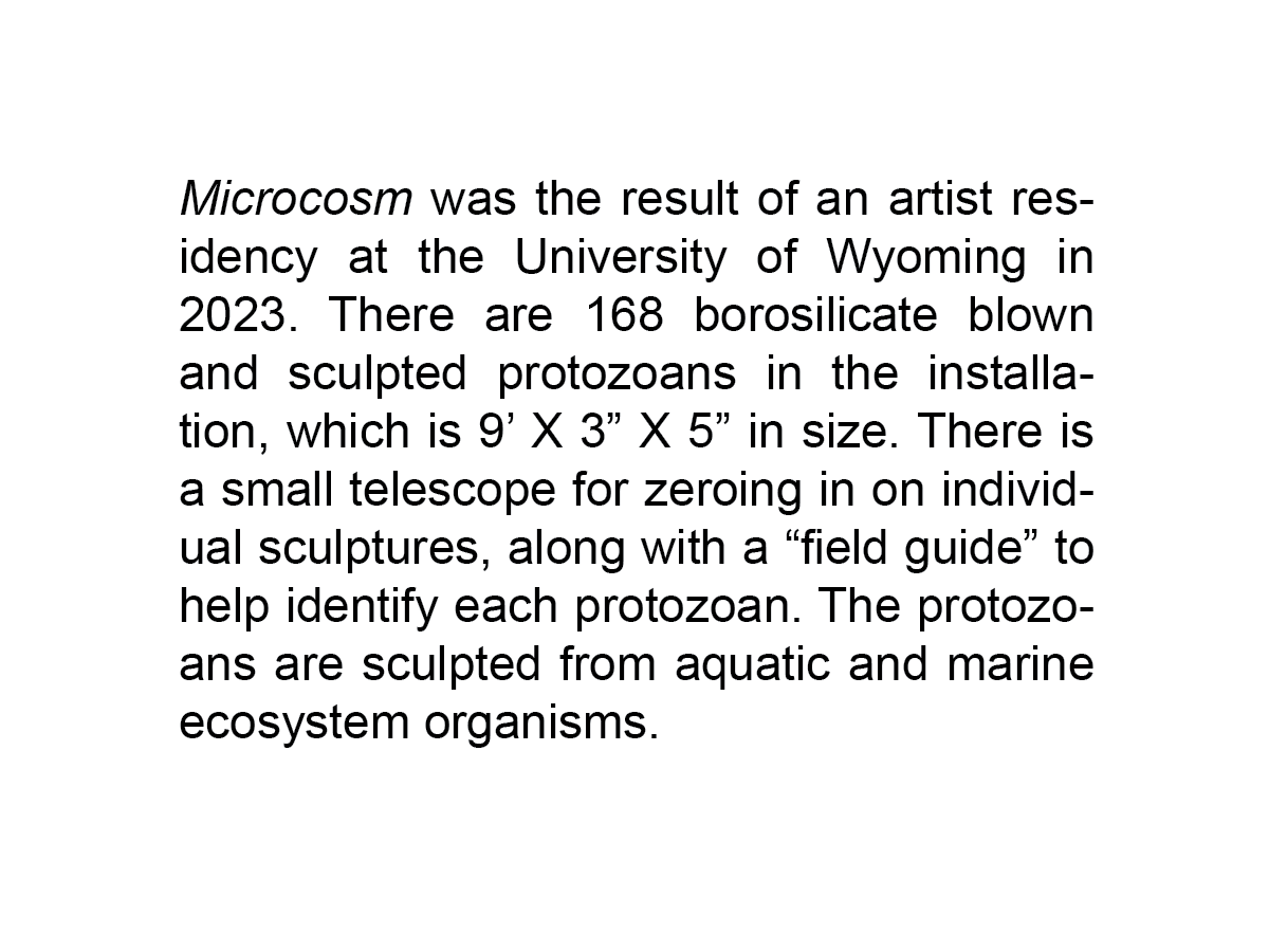 microcosm.png
