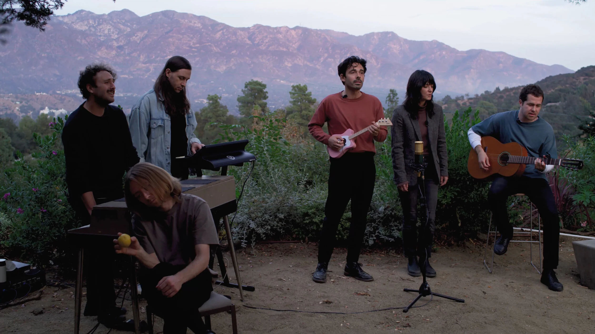 Local Natives - Lemon