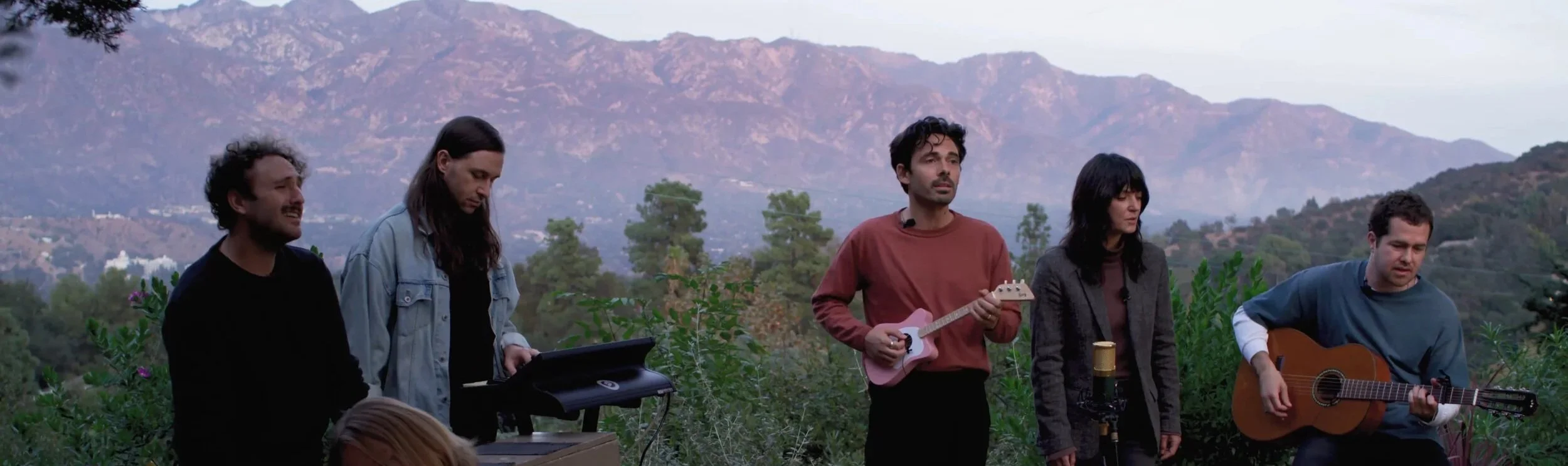 Local Natives - Lemon