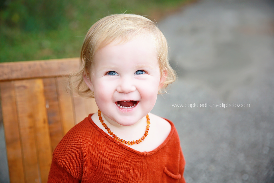 7-central-iowa-children-baby-photographer-huxley-captured-by-heidi-hicks-photography-eighteen-month-pictures.png