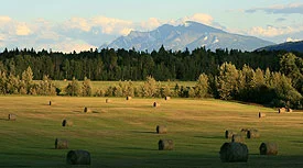 The view south...