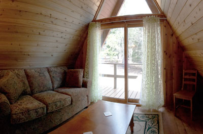 Upstairs sitting room with pull-out couch.
