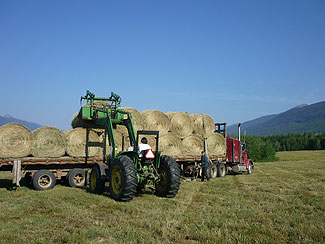 Loading round bales in the fields: Upper Fraser Ranch