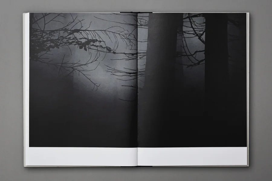 henning ross_parts of the_book_17.jpg
