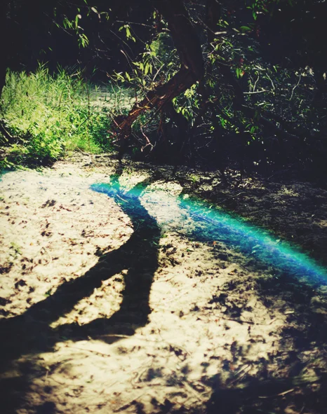 henningross_creatures_04.jpg