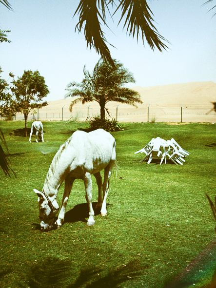 henningross_in-the-desert_01.jpg