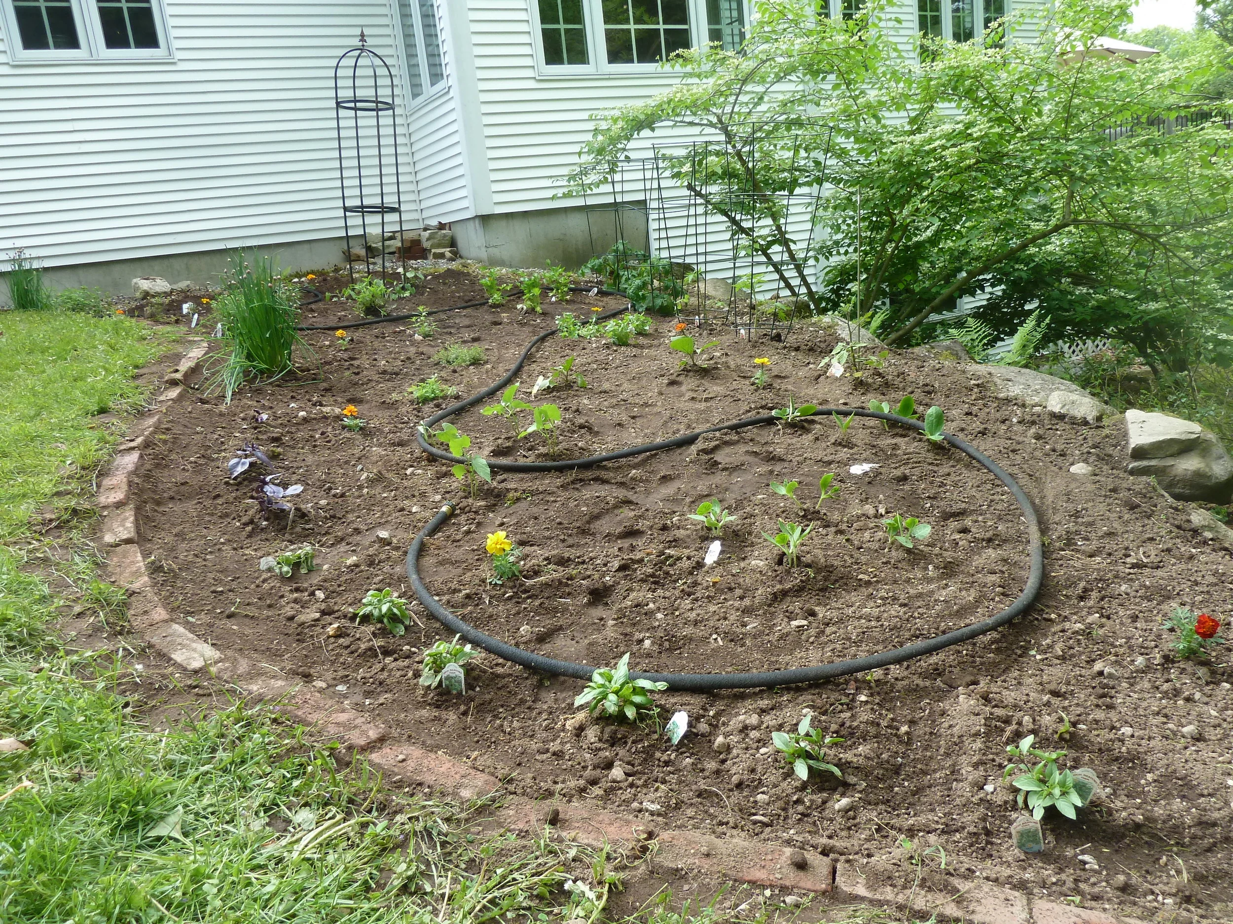 herb garden planted.JPG