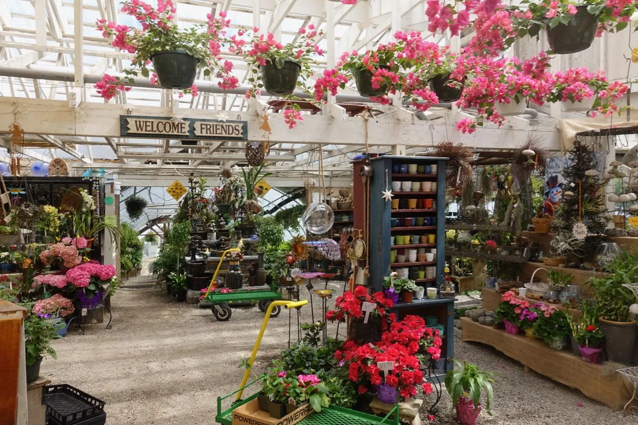 House by the Side of the Road - Garden | Follow Ann