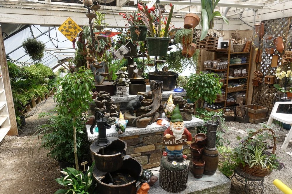 A selection of garden decorations, hanging baskets, perennials, annuals, houseplants and more.