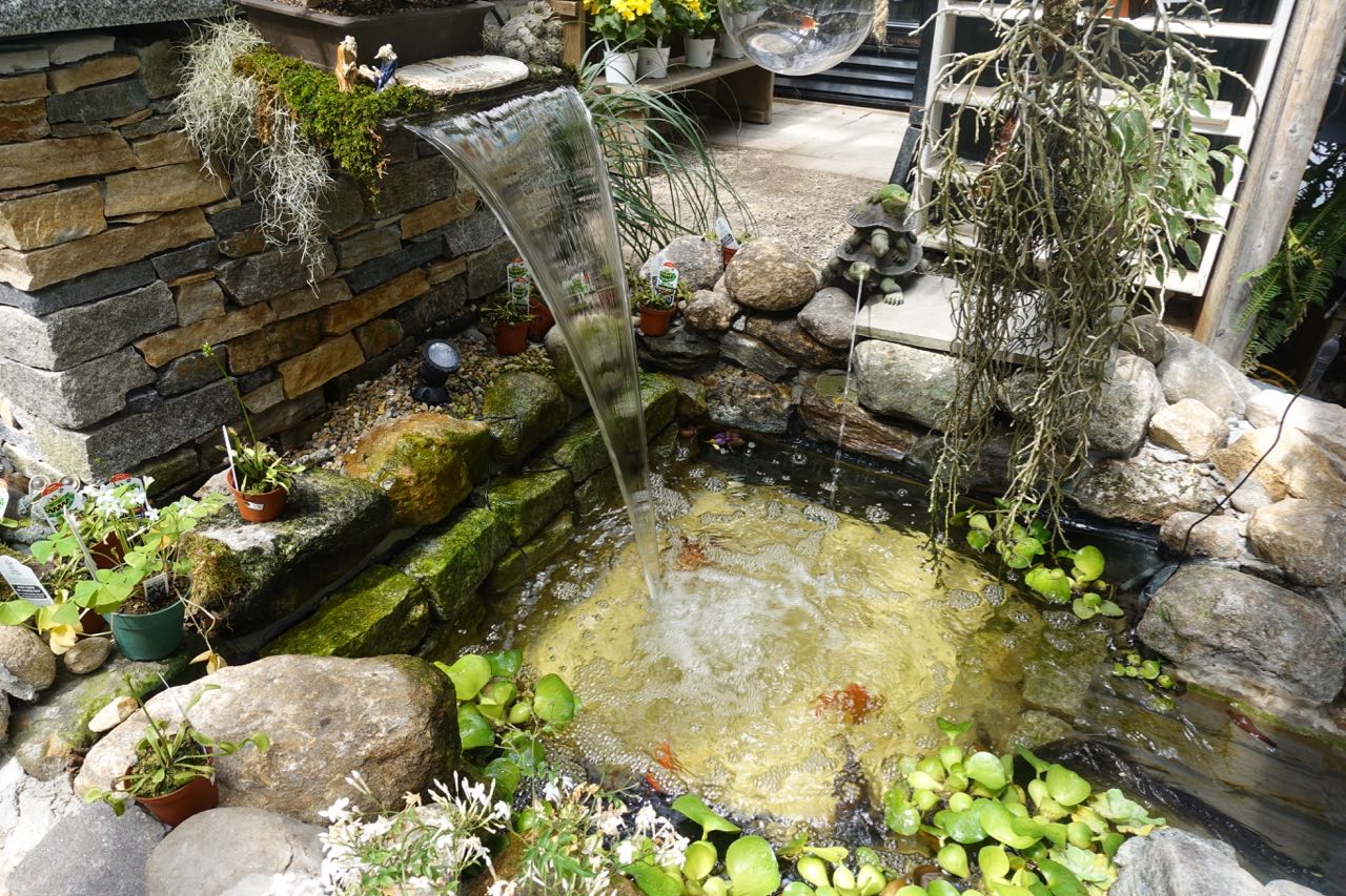 The many greenhouses, indoor and outdoor spaces, turtle/frog/koi ponds at the House By The Side of the Road in Wilton, NH.