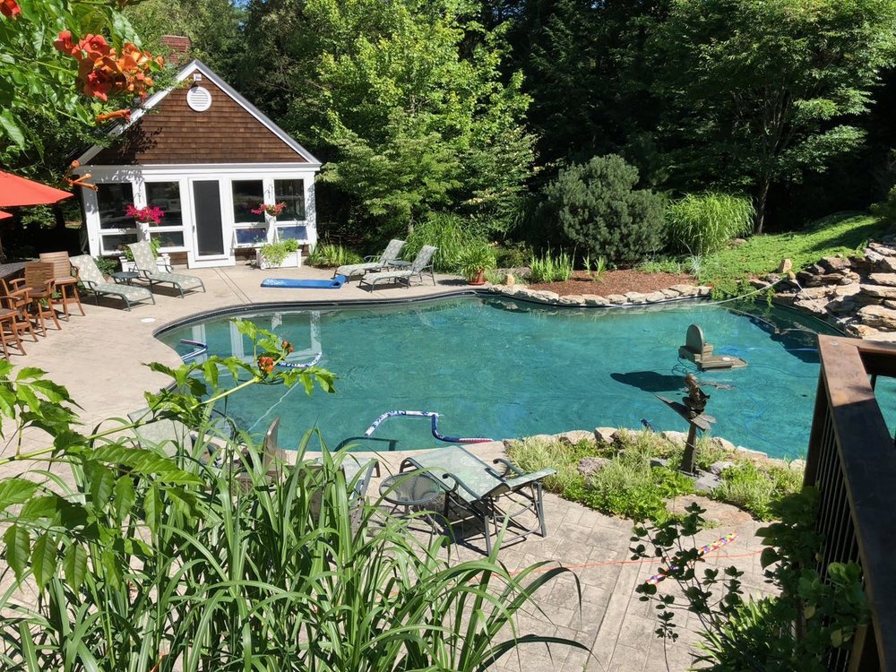 The pool area has many established bushes, shrubs and perennials, plus I jazz it up with annuals, hanging baskets and potted plants.