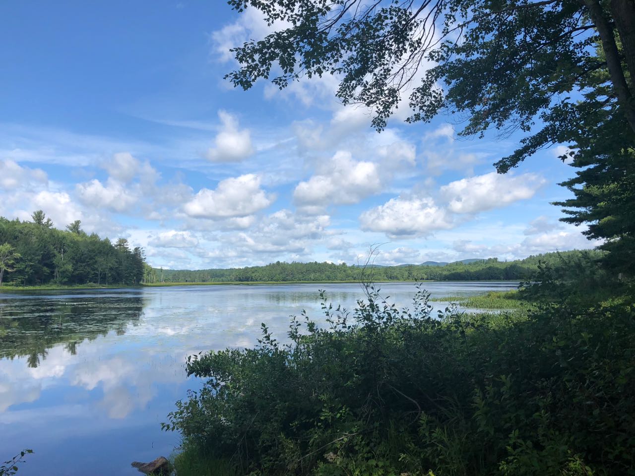 A perfect summer Sunday! &nbsp;Blue skies, warm weather, a light breeze and nature abound at Lake MacDowell, Peterborough, NH.
