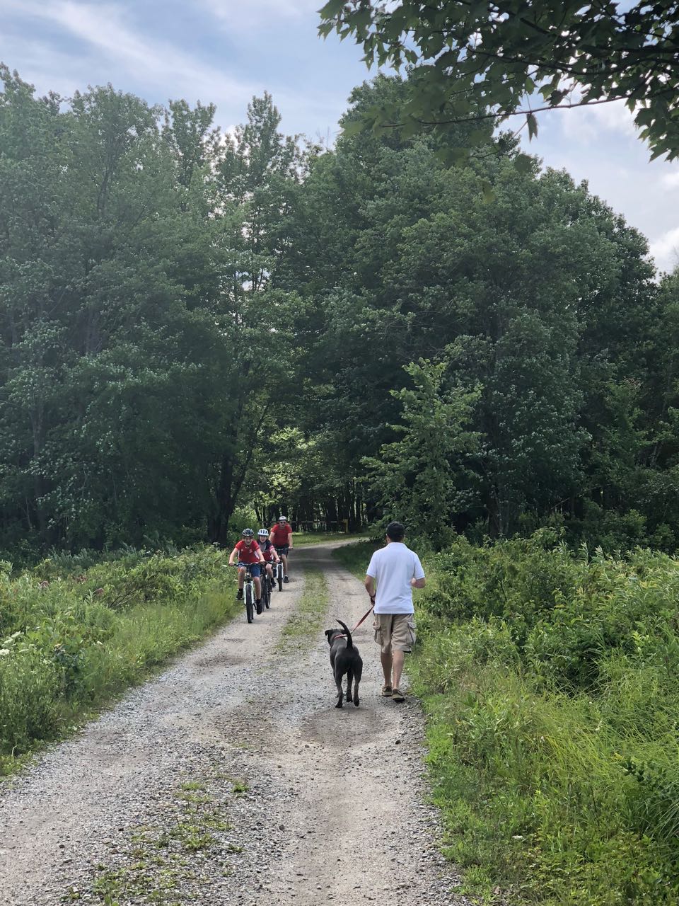 A perfect summer Sunday! &nbsp;Blue skies, warm weather, a light breeze and nature abound at Lake MacDowell, Peterborough, NH.