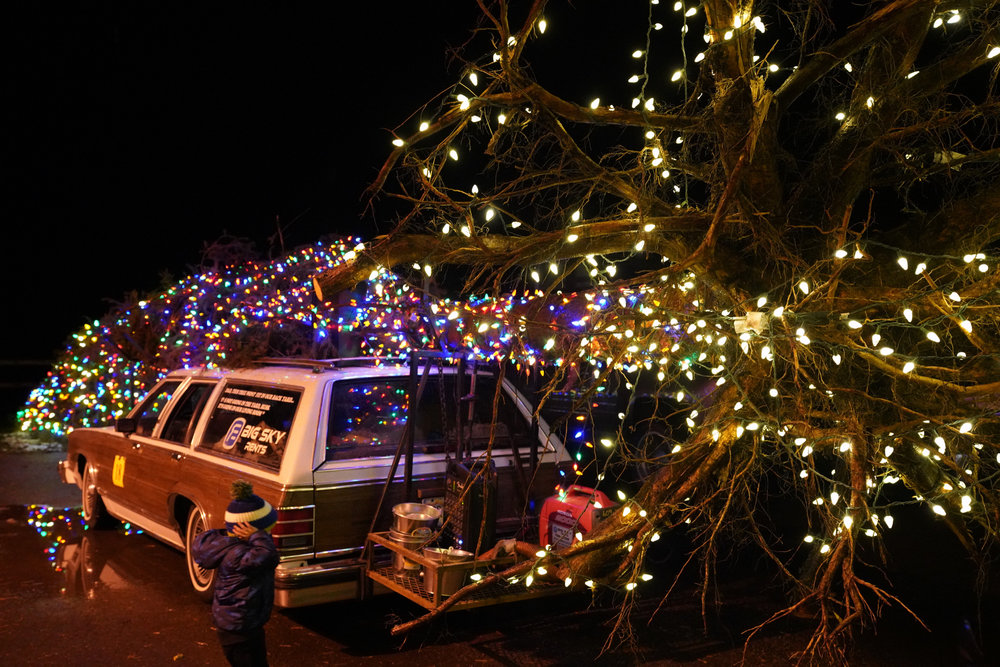 The Griswold Christmas tree in all its glory , from every angle, up close and personal!