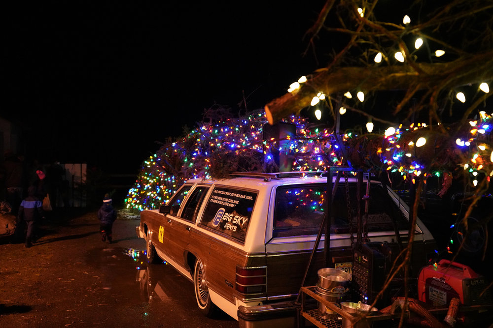 The Griswold Christmas tree in all its glory , from every angle, up close and personal!