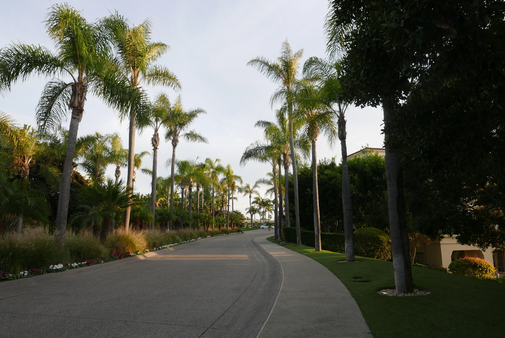 Ritz Carlton Laguna Niguel, CA