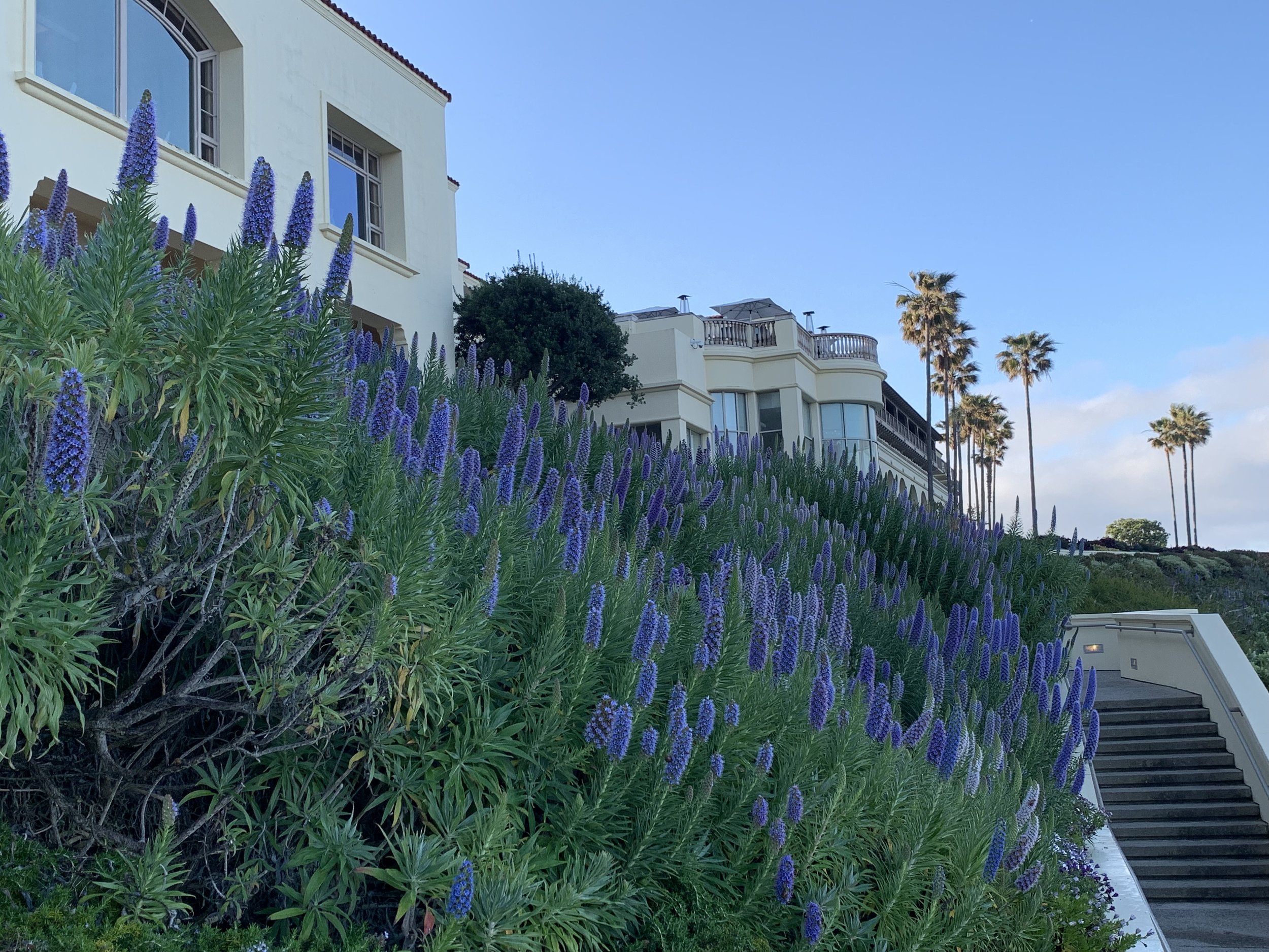 Salt Creek Beach, Monarch Bay in Laguna Niguel, California