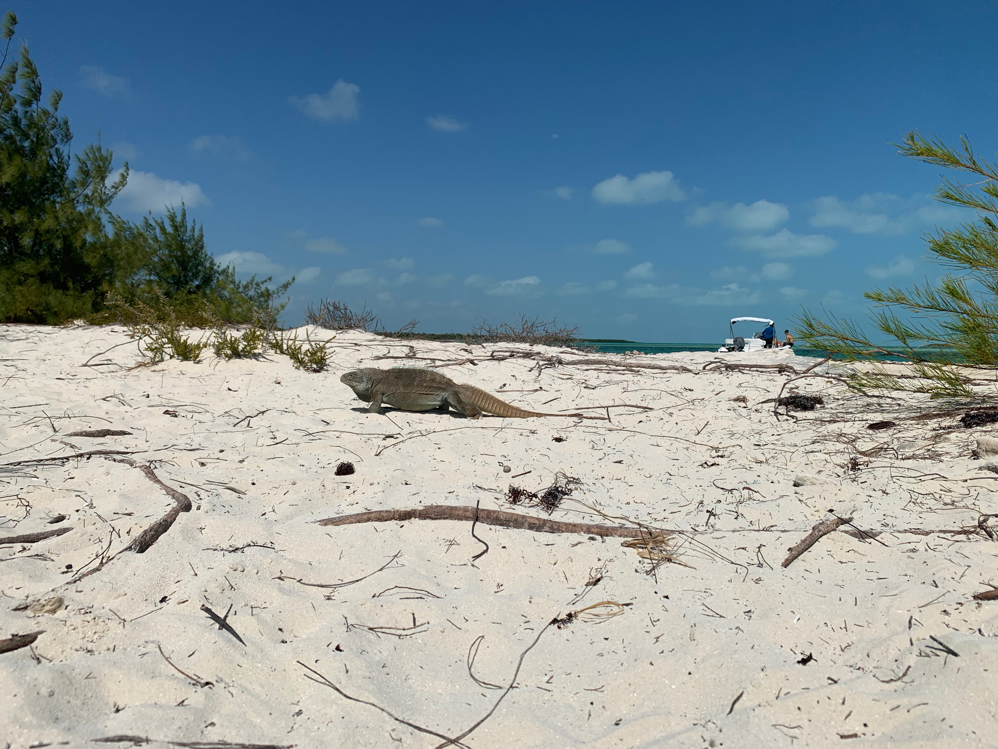 Turks and Caicos - Island Vibe Tours