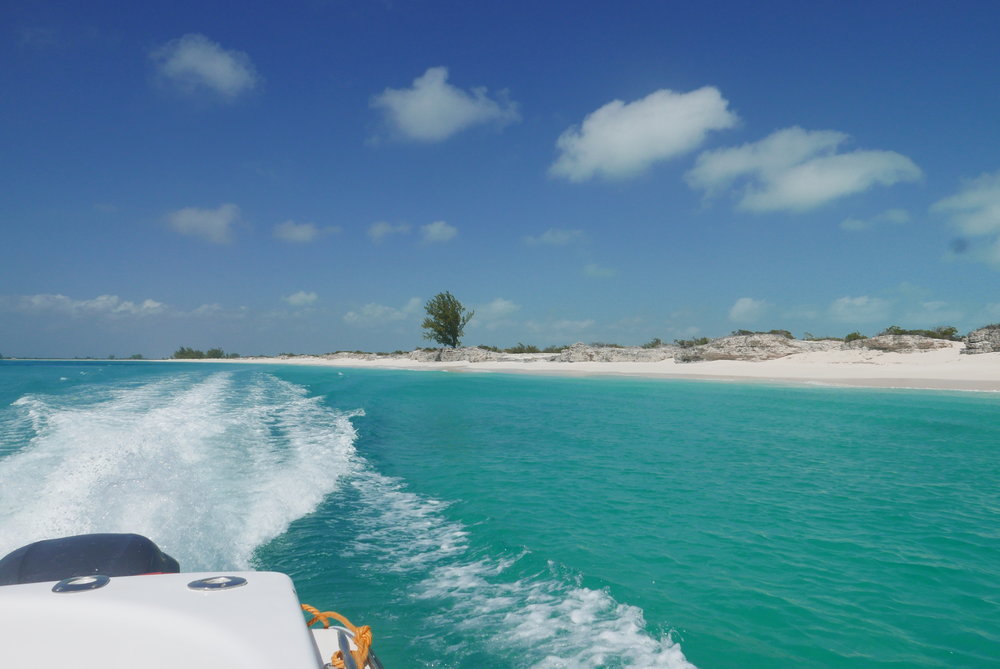 Turks and Caicos - Island Vibe Tours