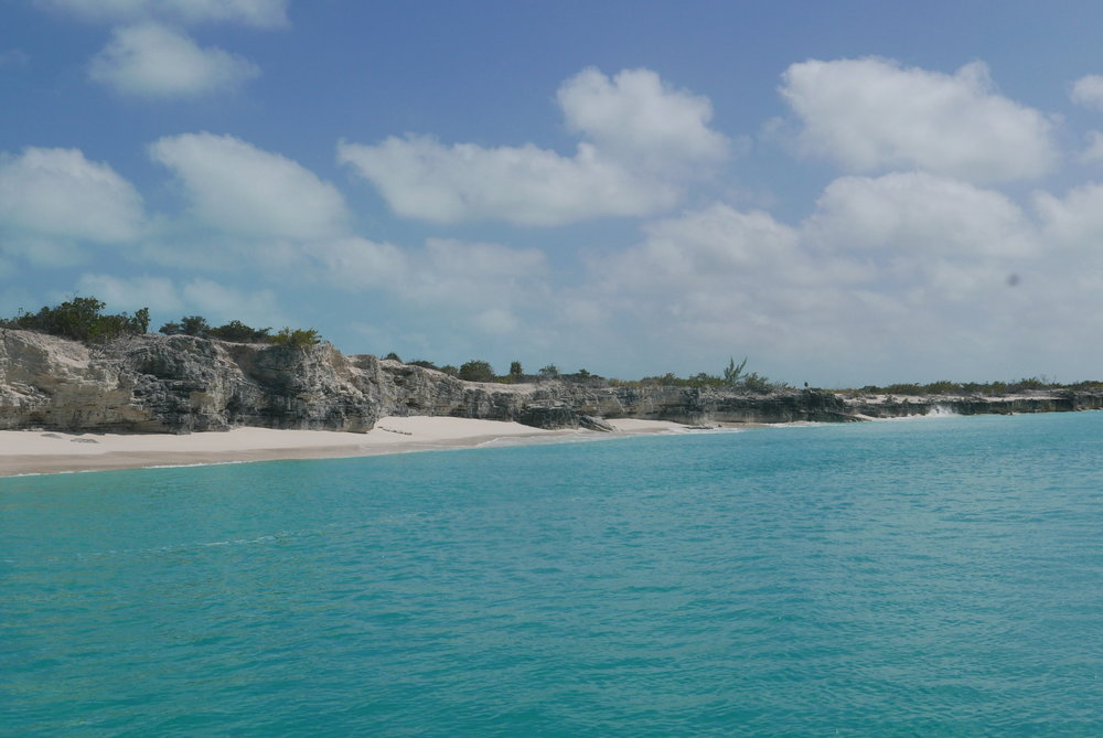 Turks and Caicos - Island Vibe Tours