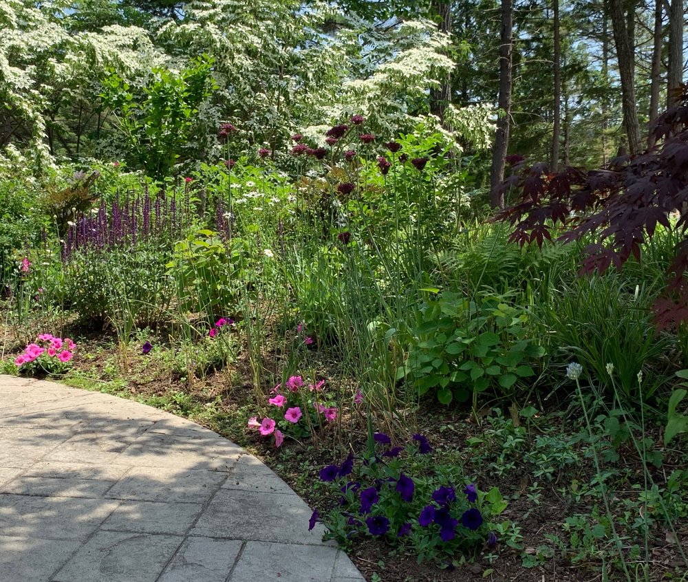 Late spring garden around the pool.   So much going on here I can’t even explain it.