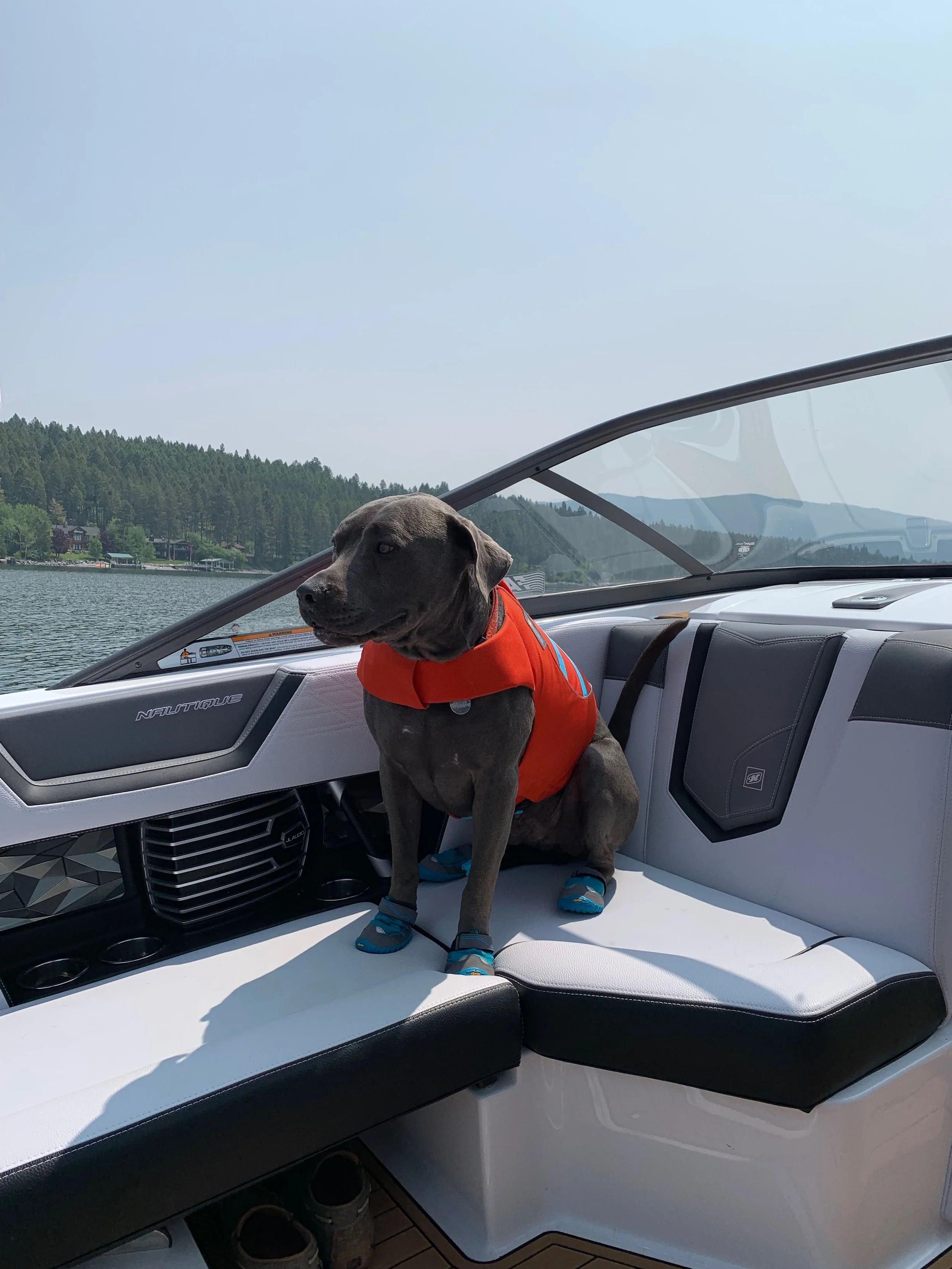 Ruffwear Life Vest &amp; Booties Review