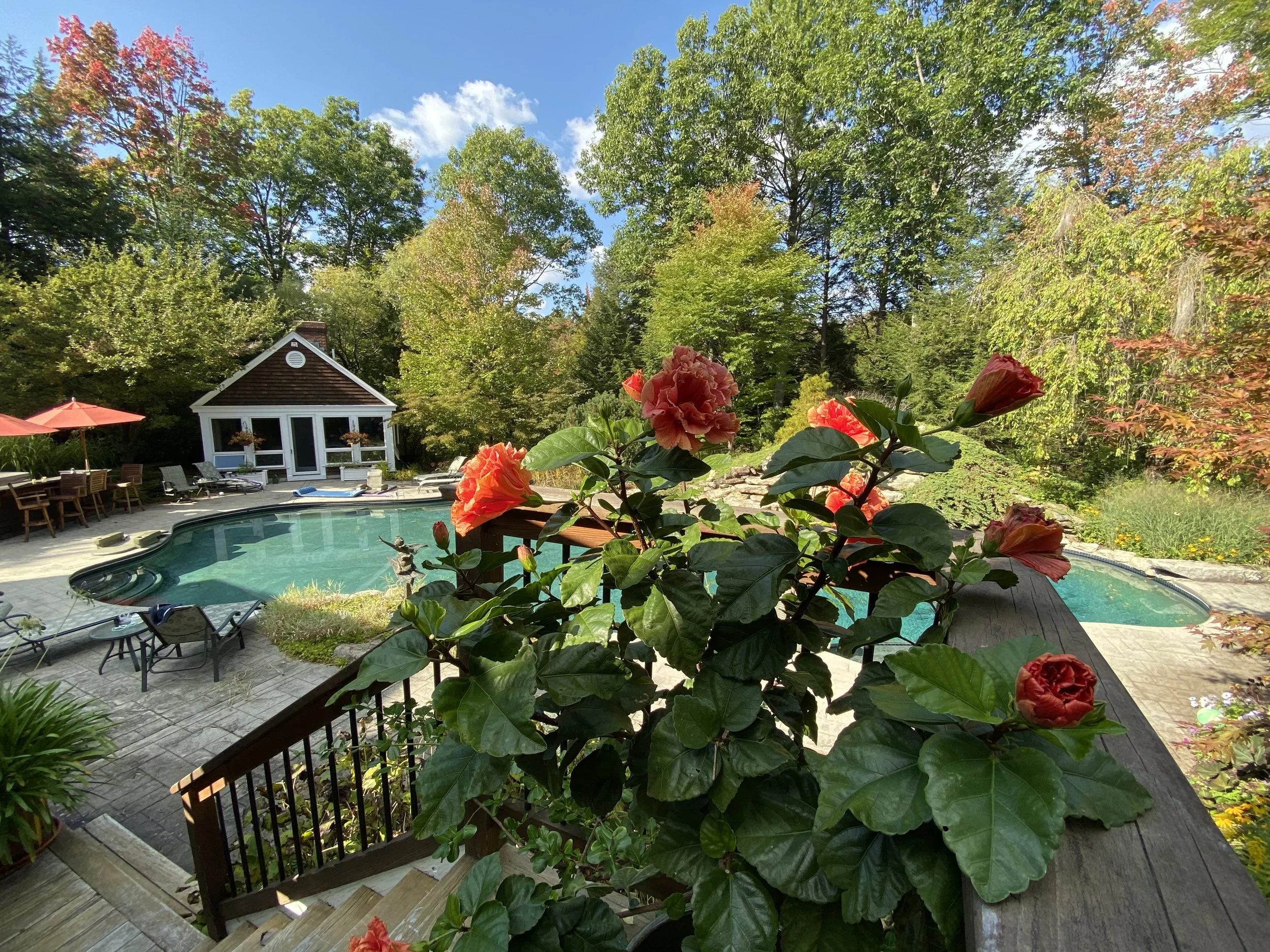 Last Day of Summer in New England
