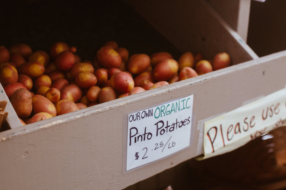 Rosaly's Farm Stand