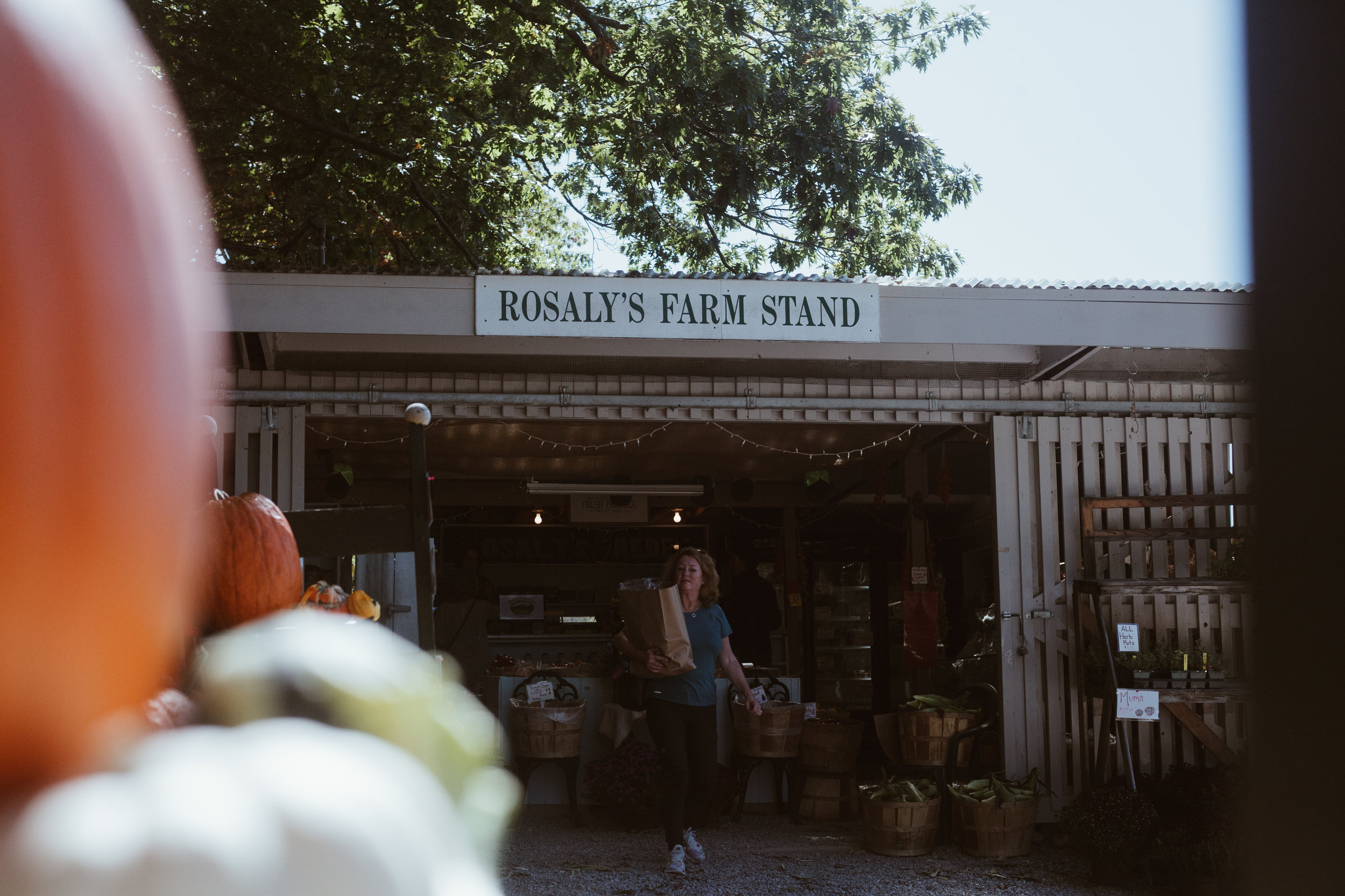 Rosaly's Farm Stand