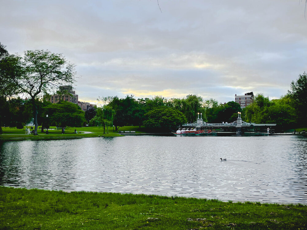 boston back bay-17.jpg