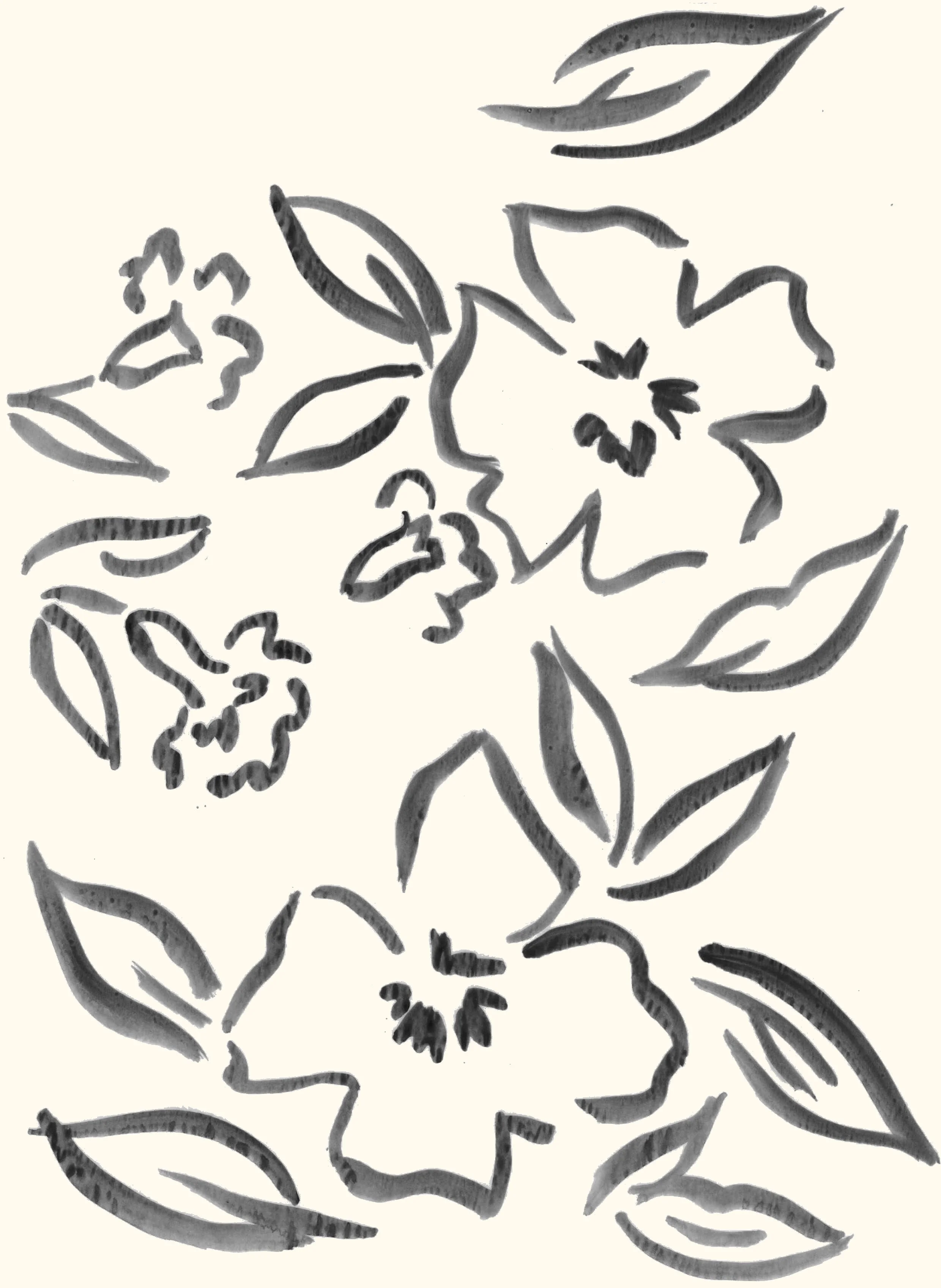 floranew.jpg