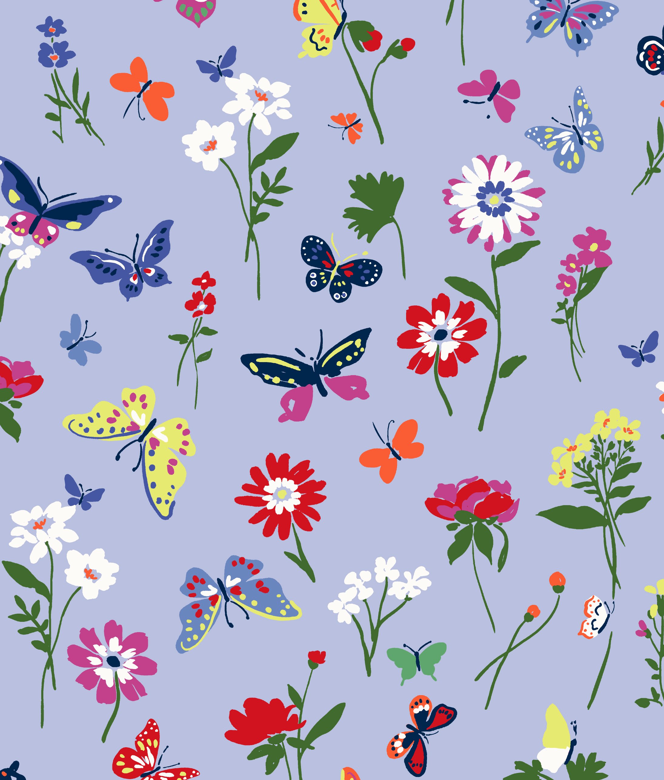 butterfly.jpg