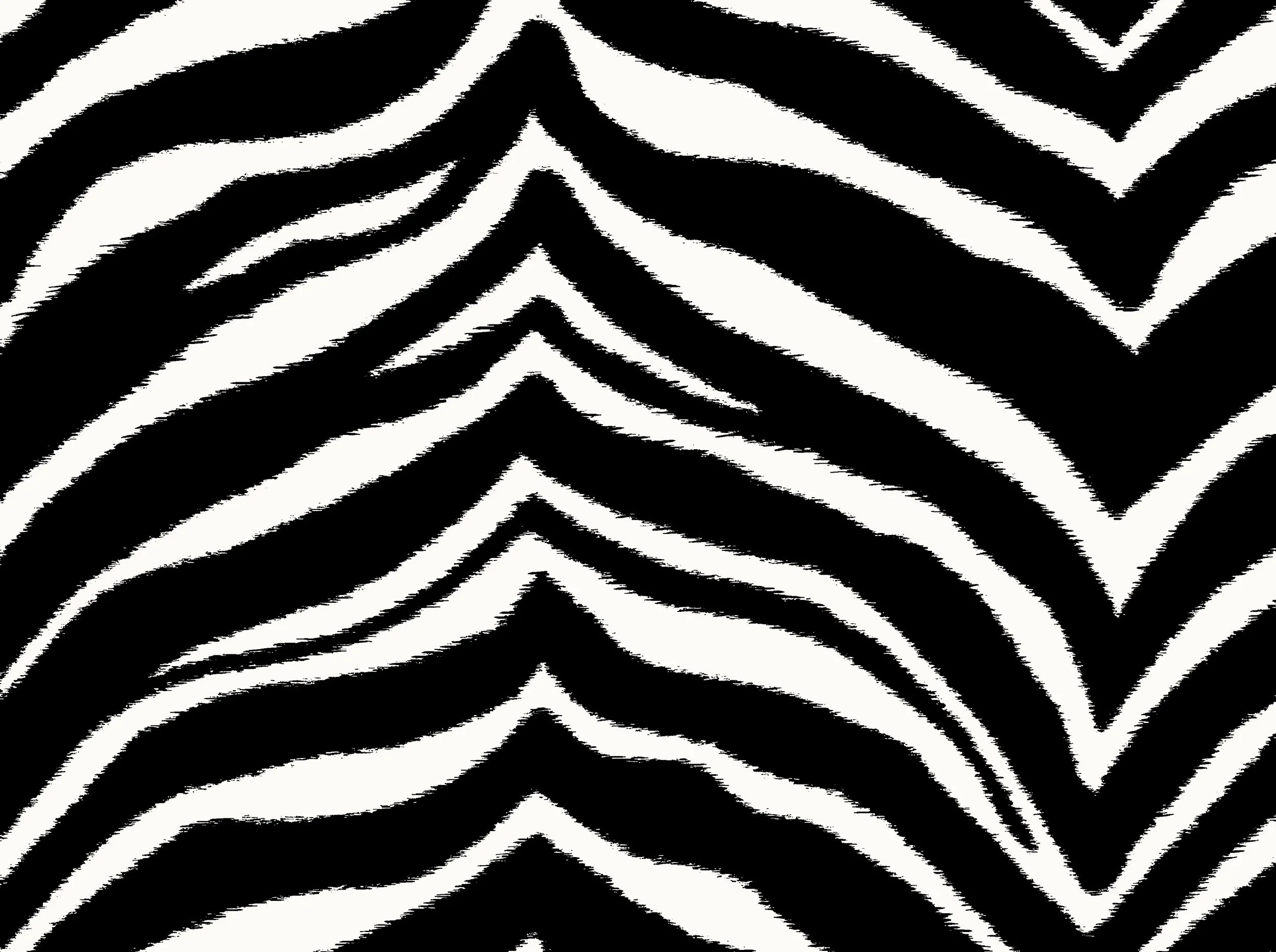zebra_crop.jpg