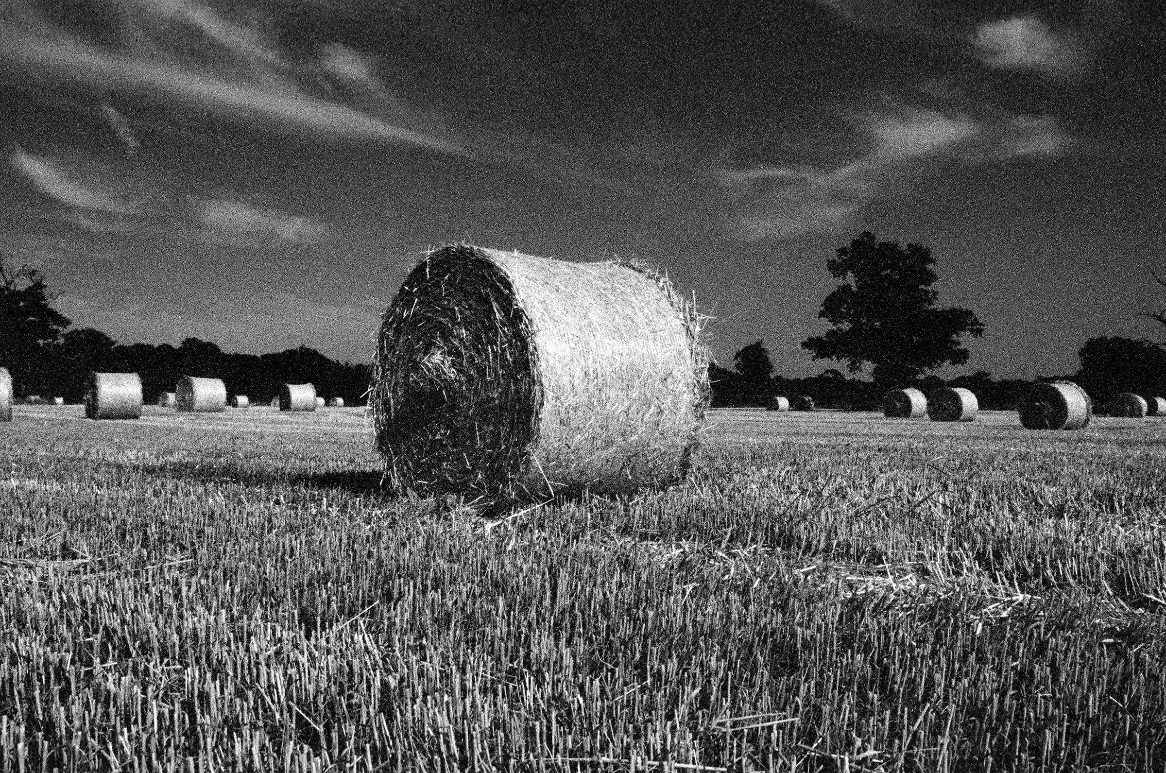 Wheat-bale.jpg