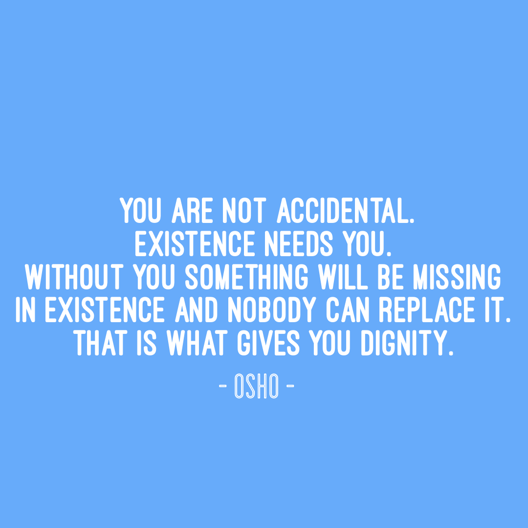 IMG_8064.PNG