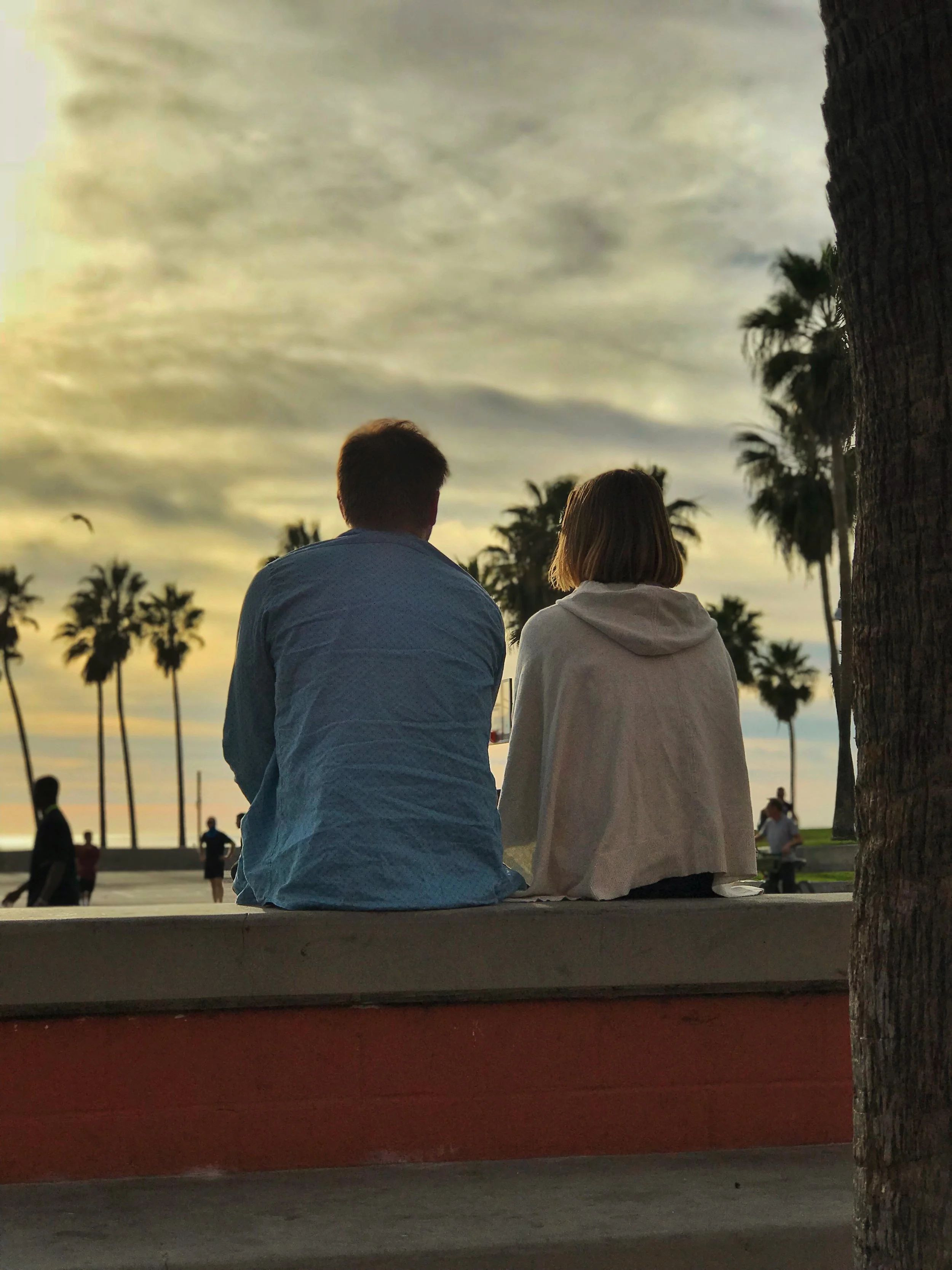 Conscious Communication 