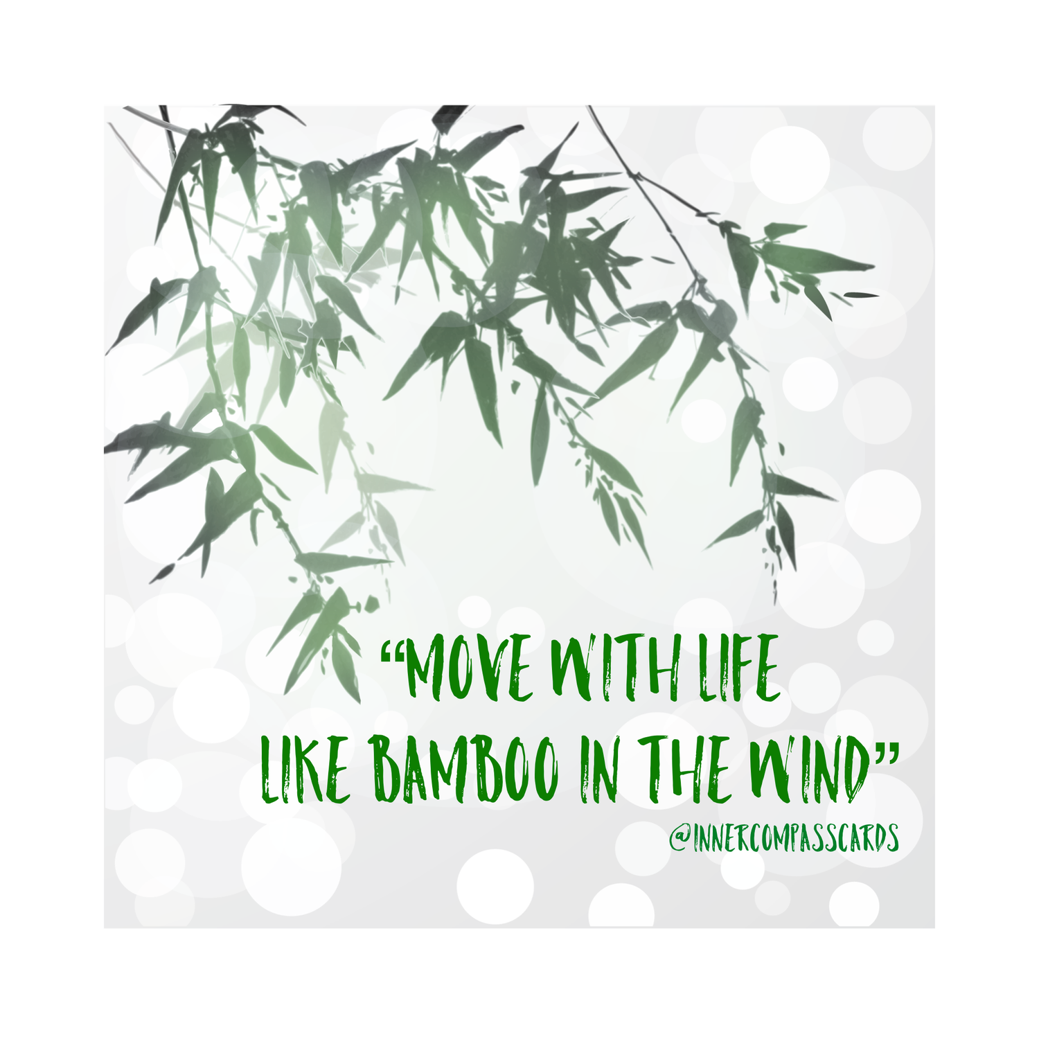 IMG_0480.png