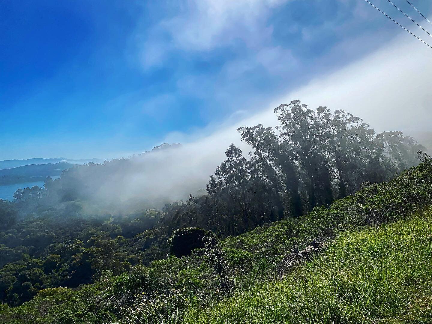 #fog #marincounty #california #33trekking #livelaughlove #travel #adventure #backpacking #explore #photography #travelphotography #blog #nomadic #liveauthentic #worldtravel #artofvisuals #scenic #natgeo  #danajonchappelle #shotoniphone