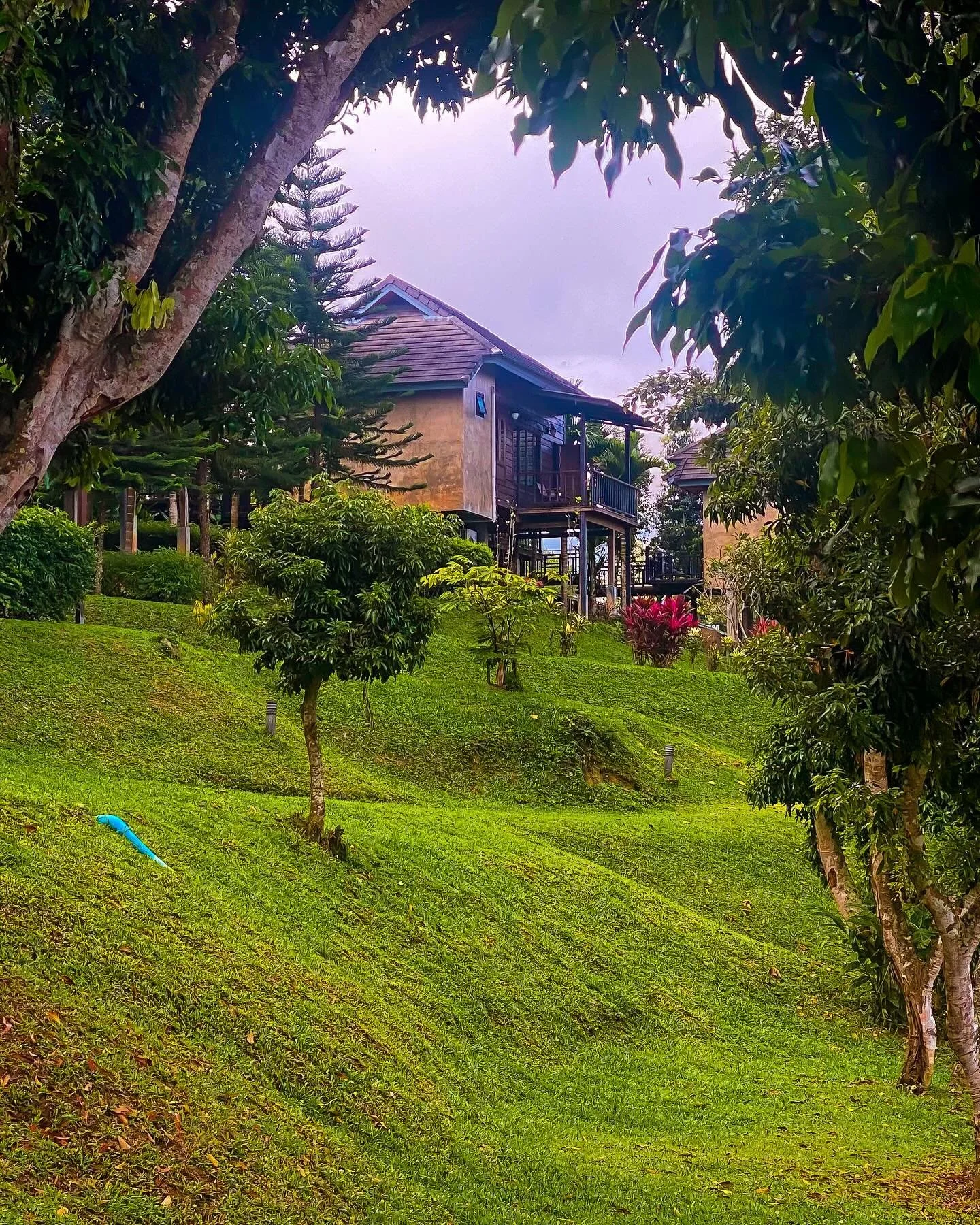 Chiang Dao Homestay. Quiet nature retreat. 🙏❤️☮️