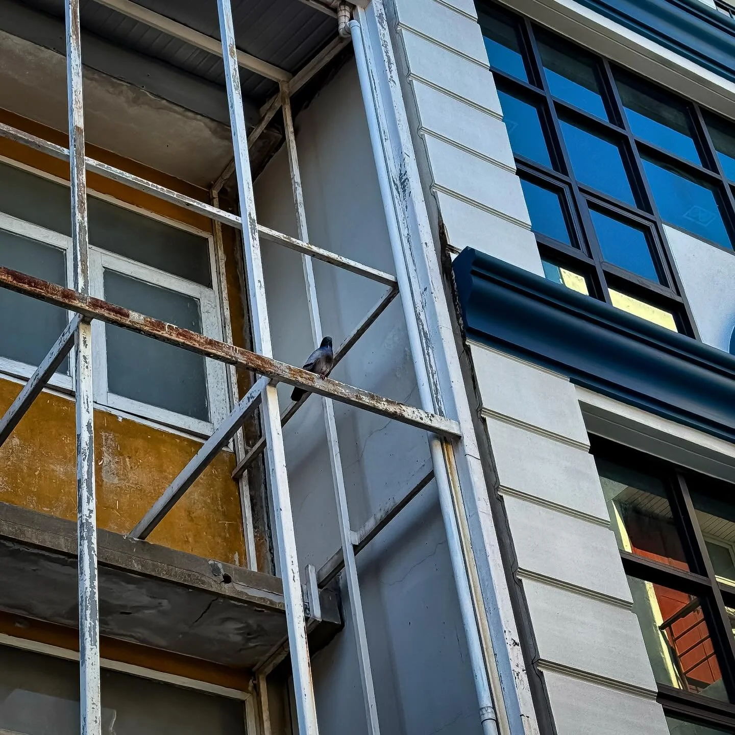 #bangkok #thailand #visitthailand 
#summerthailand #portraitphotography
33trekking natgeo natgeotravel architecture 
photography worldtravel shotoniphone travelphotography travelandleisureasia live laugh love adobe lightroom photoblog tourism thailif