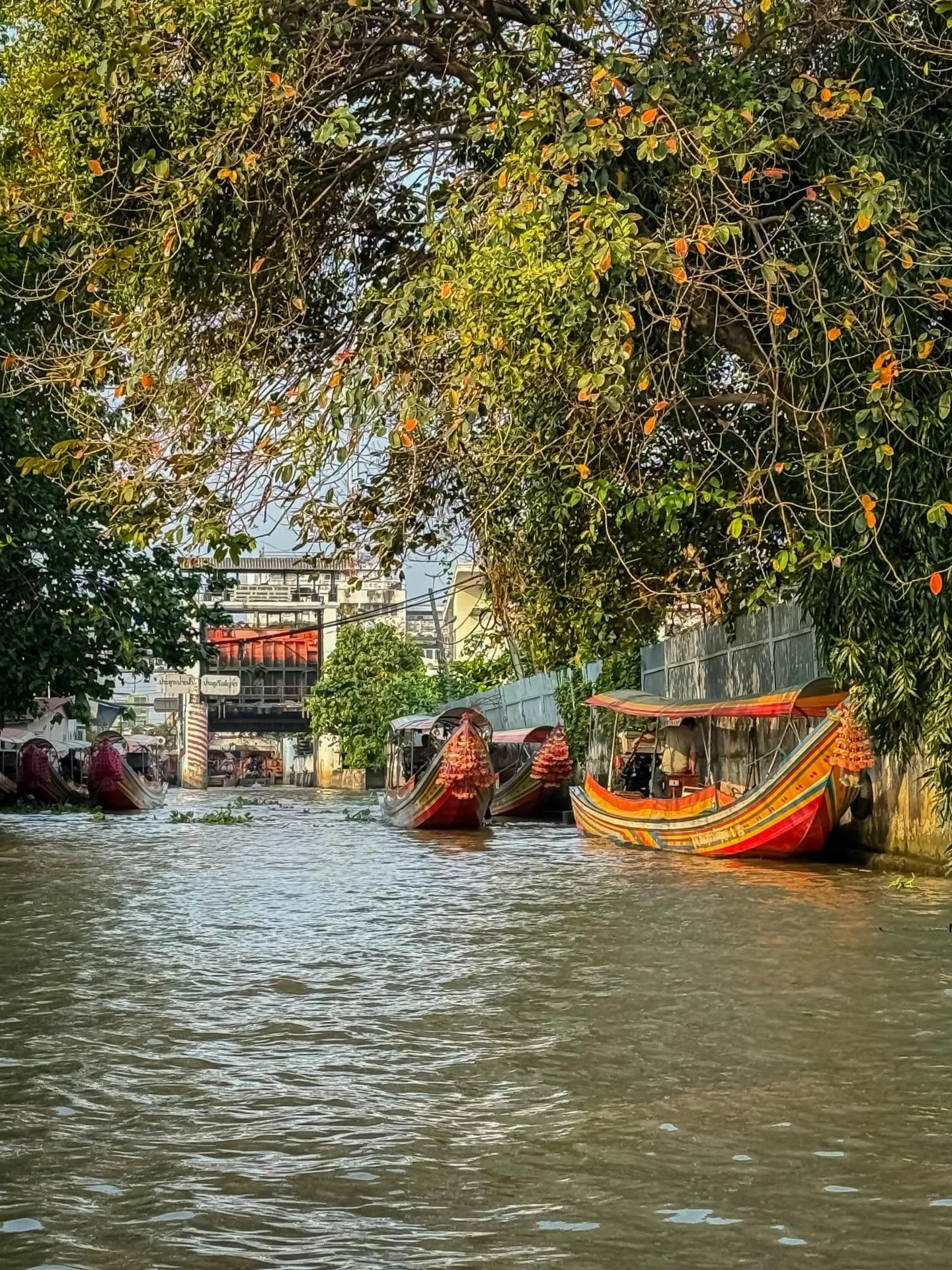 #chaophrayariver #bangkok #thailand #explorethailand #bangkokcanals