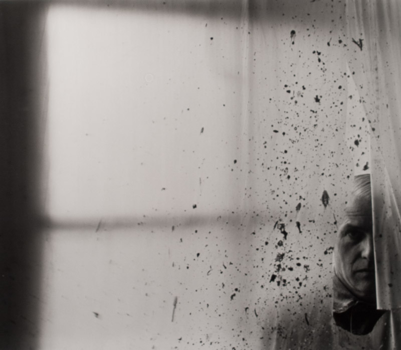 William De-Kooning By Arnold Newman 