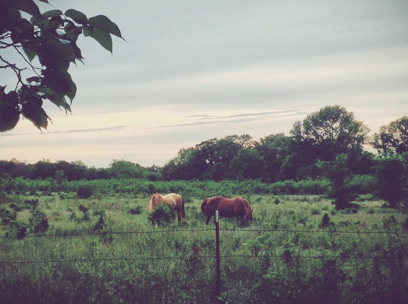 Screen Shot 2014-08-02 at 12.05.12 PM.png