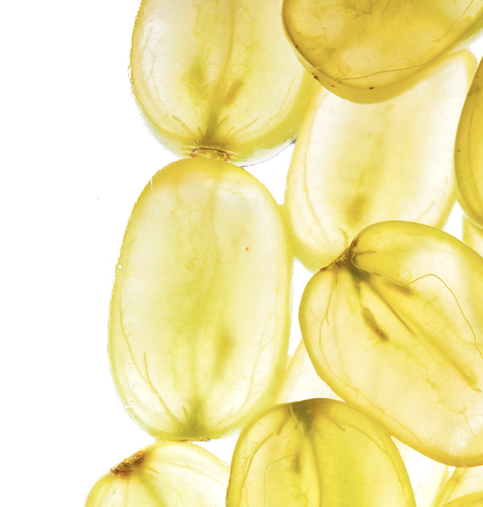 Capture d’écran 2024-11-12 à 10.18.51.png