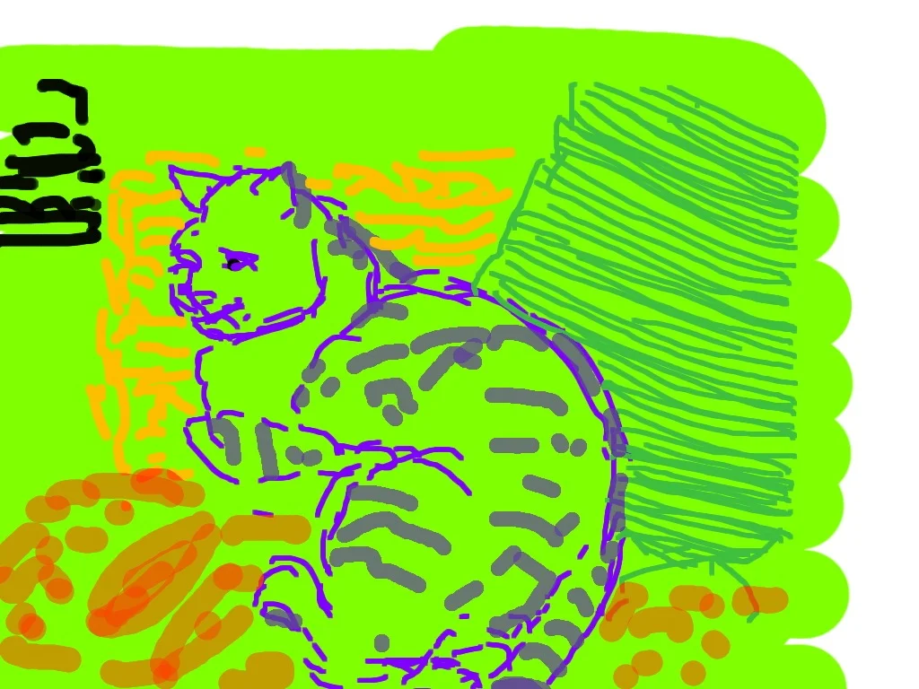 Cat I
