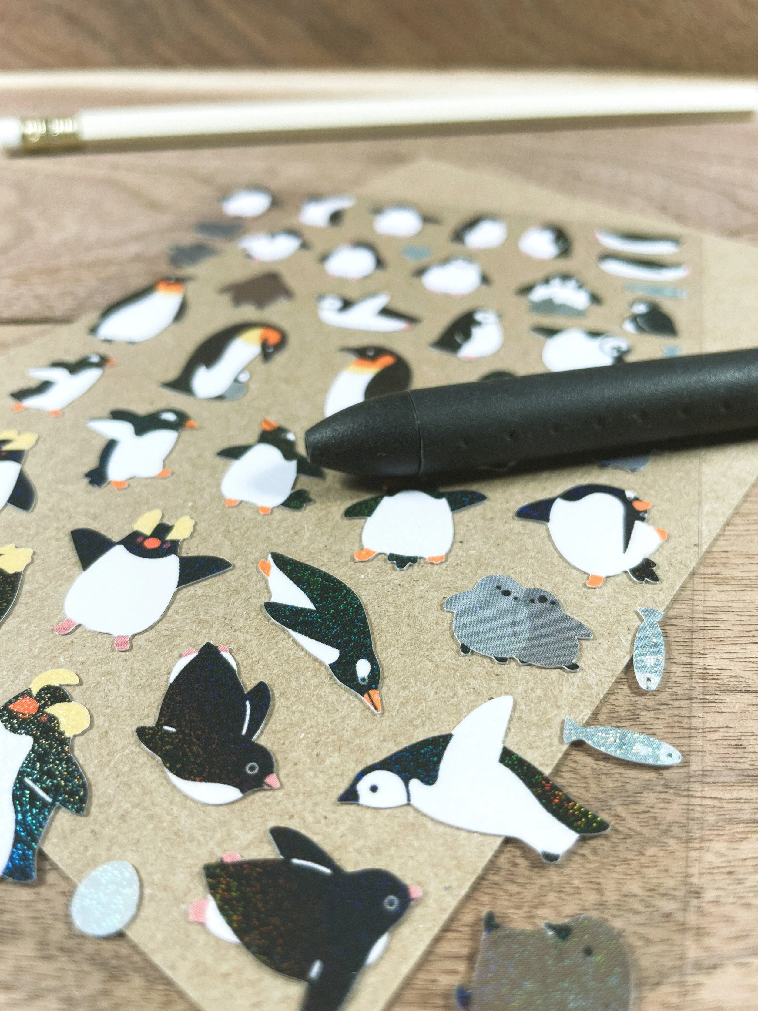 penguinssize.jpg