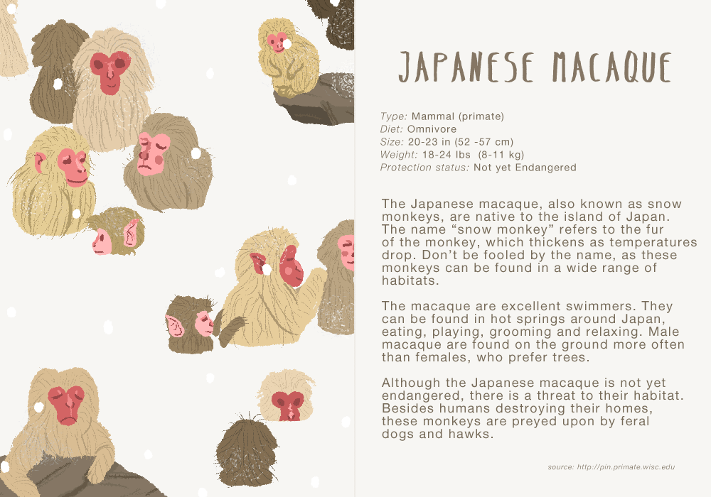 japanesemonkeysforzoo.gif