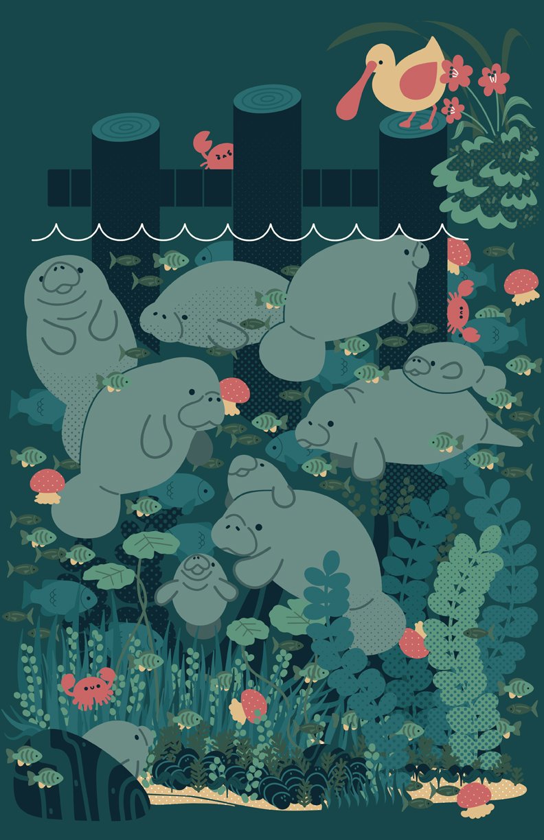 manatees.jpg